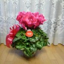 正月の準備