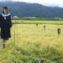放出に新たに追加
