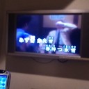 謝られ新年会。