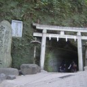 適応力