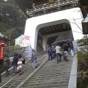 適応力
