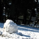 木曜〓雪と写真と〓