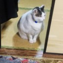 まつげエクステのその後。