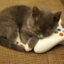 ＭＴＧ　ワールドウェイクのクリーチャーの性能がへんてこで楽しい。
