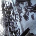 雪