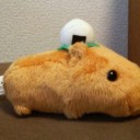 ながいあいだ