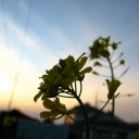 土曜〓都城と散髪と〓