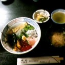 念願のしらす丼！
