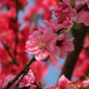 水曜〓快晴と雨と〓