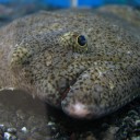 土曜〓友人と魚と〓