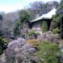 あたたか。