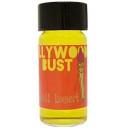 Bollywood or Bust　（追記）