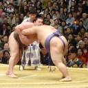 大相撲三月場所