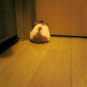 さんこ、よくがんばりました。