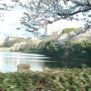 赤と青に白