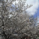3月30日の日記