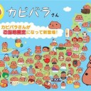 全容。