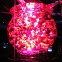 金魚と蜷川実花とイルミネーションと。