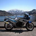 2010年走り初め