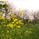 火曜〓仕事と買い物と〓