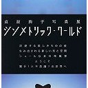 シンメトリカル技法画像