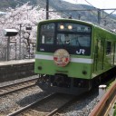 河内堅上駅の桜
