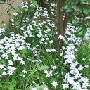 １ヶ月振りに
