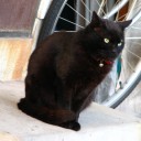金曜〓トラブルと問題と〓