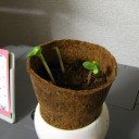 金曜〓トラブルと問題と〓