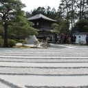 お花見。