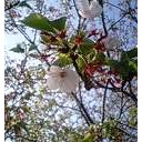 箱根と実家