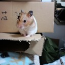 おやつターイム！