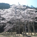 下呂温泉1泊ツアー記