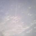 雨