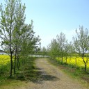 北の国から２０１０：２日目 ～THIS WAY ～