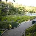 根津＋亀戸＋…。