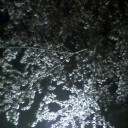 夜桜。