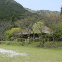 今さらですが