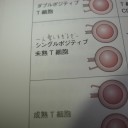 腐っているとしか思えない（今更）