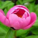 5月・・