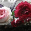 今咲いている薔薇