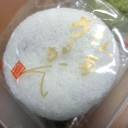 ねこ、まっしぐら