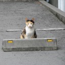 金曜〓週末と雨と〓