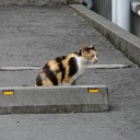 金曜〓週末と雨と〓