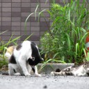 火曜〓右手と腱鞘炎と〓