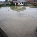 田植え終了 梅雨入り
