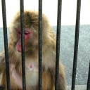 この悲しみをどうすりゃいいの 誰が僕を救ってくれるの