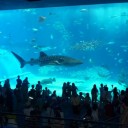 沖縄旅行３日目