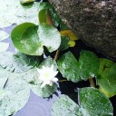 春日、社員旅行に行く。