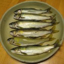 またまた　鮎です！